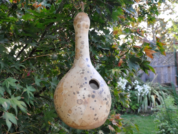 dried birdhouse gourd