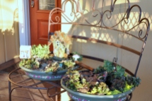 Replanted Fairy Garden, The Long View