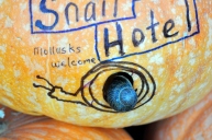 Snail Hotel: Mollusks Welcome