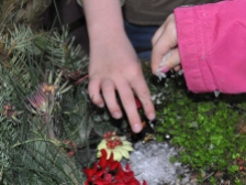 Tiny hands visit the fairy garden