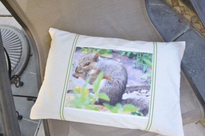 Squirrel Pillow