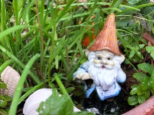 Miniature garden gnome