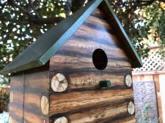 LFL birdhouse in back garden